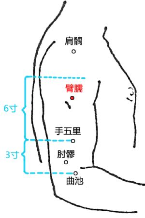 臂儒穴|臂臑